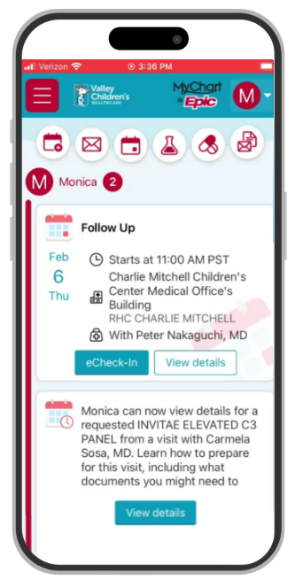 A smartphone showing how a user can E-Check In to an appointment